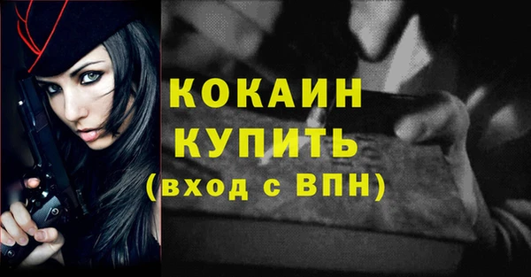 мдпв Кинешма