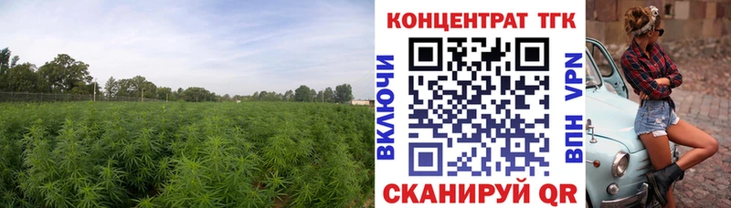 ТГК Wax  Купить  Наволоки 