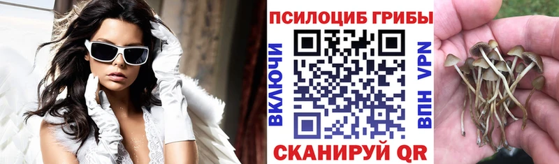 Галлюциногенные грибы Psilocybe  Купить  Наволоки 